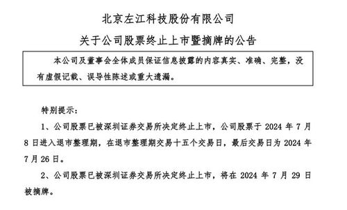 從巔峰墜落 曾對(duì)標(biāo)英偉達(dá)的網(wǎng)絡(luò)安全股，股價(jià)從299元到1元的退市警示錄